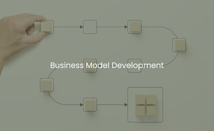 Business Model Development