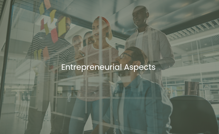 Entrepreneurial Aspects